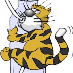 ven 29 sept et WE, COLLECTE NOURRITURE CHATS LIBRES